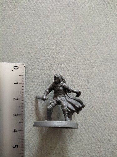 Female elf rogue wildspire - female,